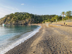 Robinson Camyuva - Adults only