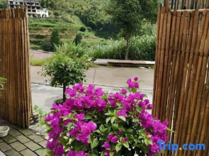 Xianju qingyinge homestay