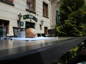 Parkhotel Plauen