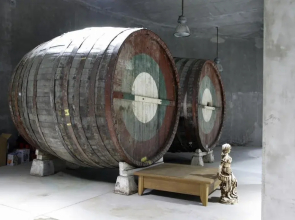 Chateau Copsa