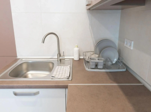 Scandinavian apartment Elegant