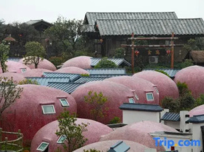 Yongtai Gening Ant Nest Egg Homestay