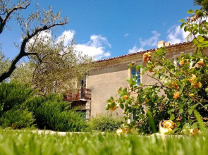 Le Coing des Vignes