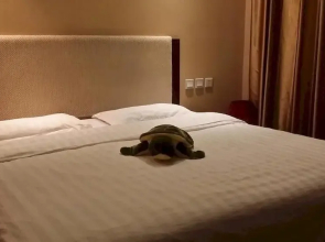 Shenyang Xiangyi Boutique Hotel