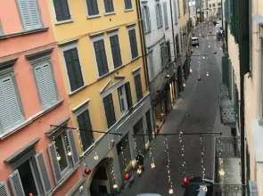 Gatto Bianco Bergamo 9