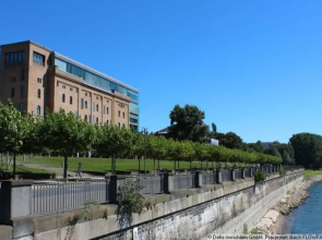 Surfer Loft with AC and sun terrace