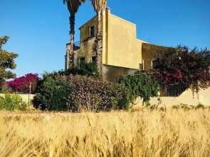 Mater Familias Oasis