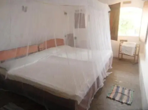 Dolce Vita Surf Rest Point