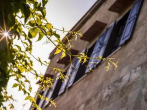 Finestra Apartment