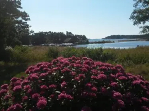 KustCamp Ekön