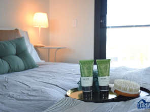 Panoramic luxury apartment OP808
