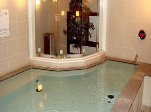 Spa and Sauna Hotel Hitachi Plaza