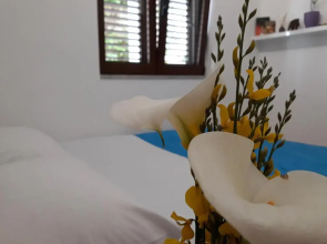 Apartments Ardura