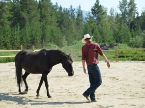 Willow Ranch