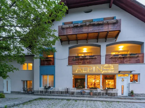 ALPINpelso