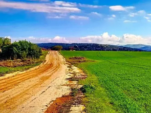 Kibbutz Nachshon