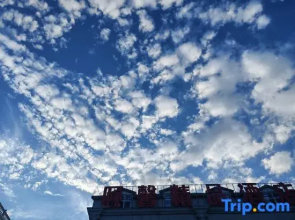 Yuxin Boutique Hotel