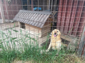 Privat Luna