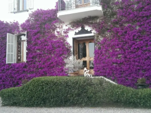 Resort Villa San Luca Citr8031 (Adults Only)