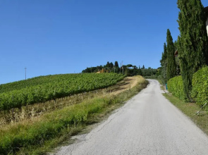 Il Pollice Verde