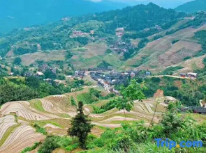 Longji Terrace Binlaiyue Homestay (Jinfoding Cable Car Dian)