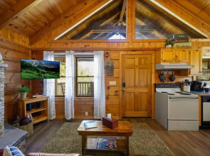 Cozy Studio Log Cabin in the heart of Pigeon Forge. Hot Tub. Honeymoon! Sleeps 2