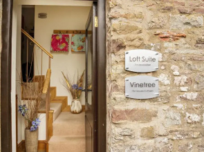 Neuadd B&B Suites