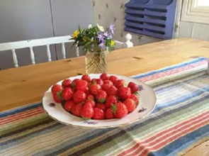 Ferienhaus Näs