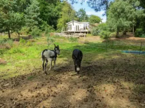 The Retreat