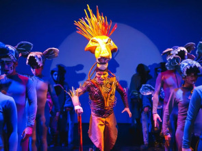 Catalonia Riviera Maya Resort and Spa All Inclusive