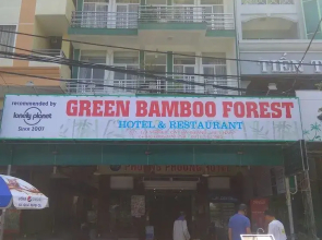 Green Bamboo Forest Cat Ba