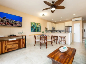 Napili Point B33 1 Bedroom Oceanfront Condo 1 Condo by RedAwning