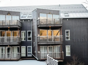 Awesome Apartment in Hemsedal With 3 Bedrooms, Sauna and Wifi