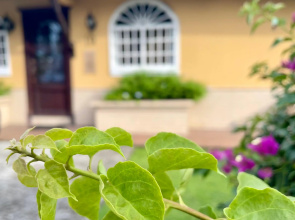 Sofia's B&B Hostal Boutique
