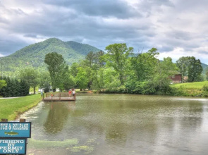 Shady Creek