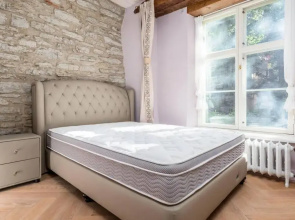 Luxurious 2-floor home in the Old Town