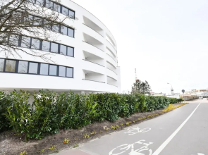 Apartamenty Biały DOM