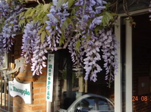 Hortênsias Pousada Boutique - Piscina