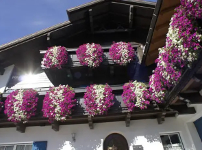 Das Edelweiss