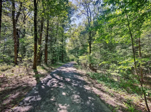 Hike, Hunt & Unwind: Cozy Cabin Near Hersheypark