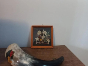 Winslow Highland Bansko - Apartment Giovanni, ул Валевица 7 кв Грамадето