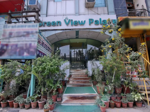 OYO 8764 Hotel Green View Palace