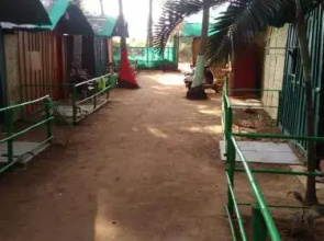 Zorba Holiday Inn Huts