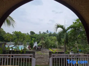 Eco Moringa Garden