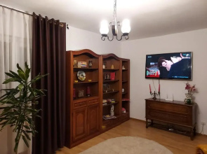Vintage Central Apartament