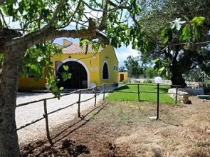 Leremo Degli Ulivi