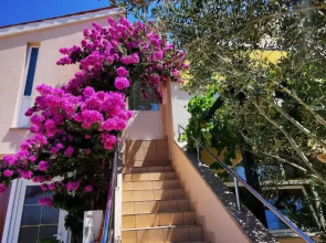 Apartments Marin, Kolan, Mandre, Pag