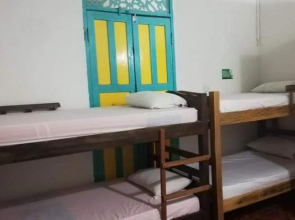 Hostel Arbore
