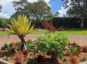 The Yala Home