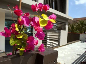 Thalassa Boutique Apartments